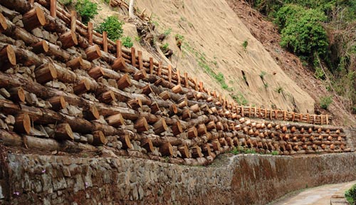 Realizzazione palificate &raquo;